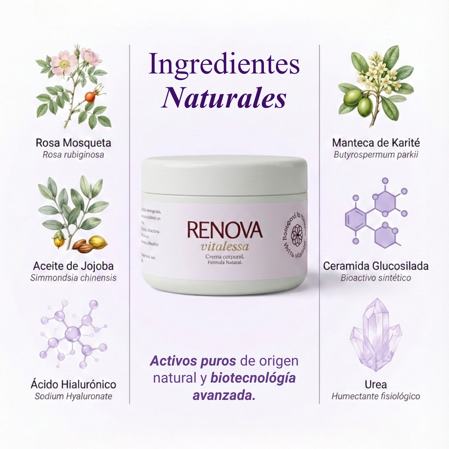 RENOVA - Crema Nutritiva 100% Natural