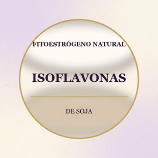 Isoflavonas de soja — fitoestrógeno natural